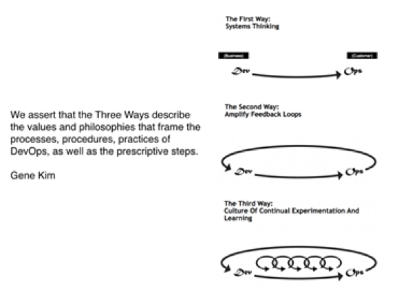 The Phoenix Project: A Novel about IT, DevOps, by Kim, Gene